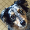 Moosie's avatar