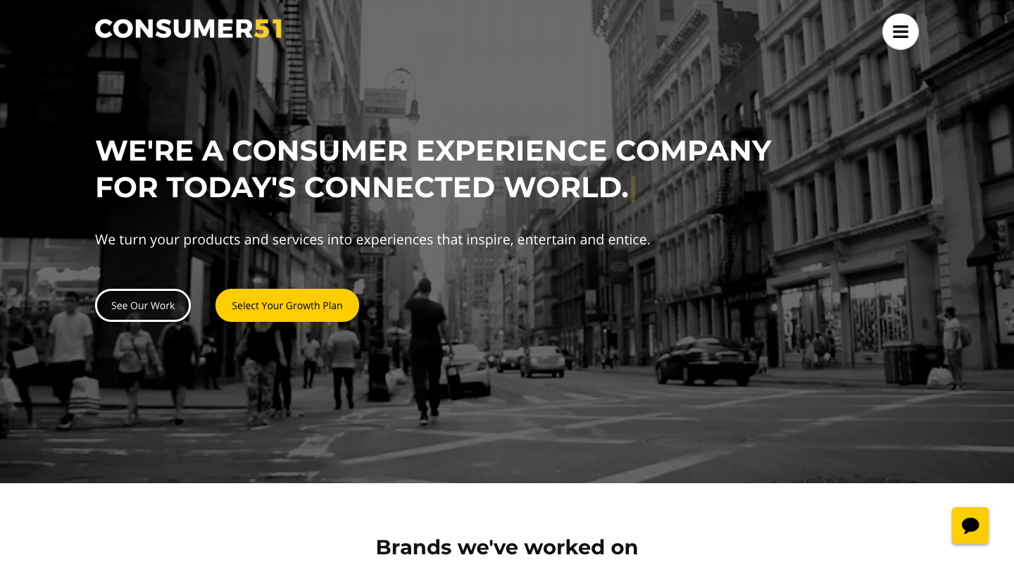 Consumer51's Website'